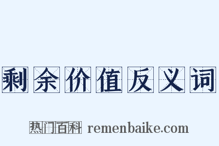 剩余价值反义词是什么意思的图片